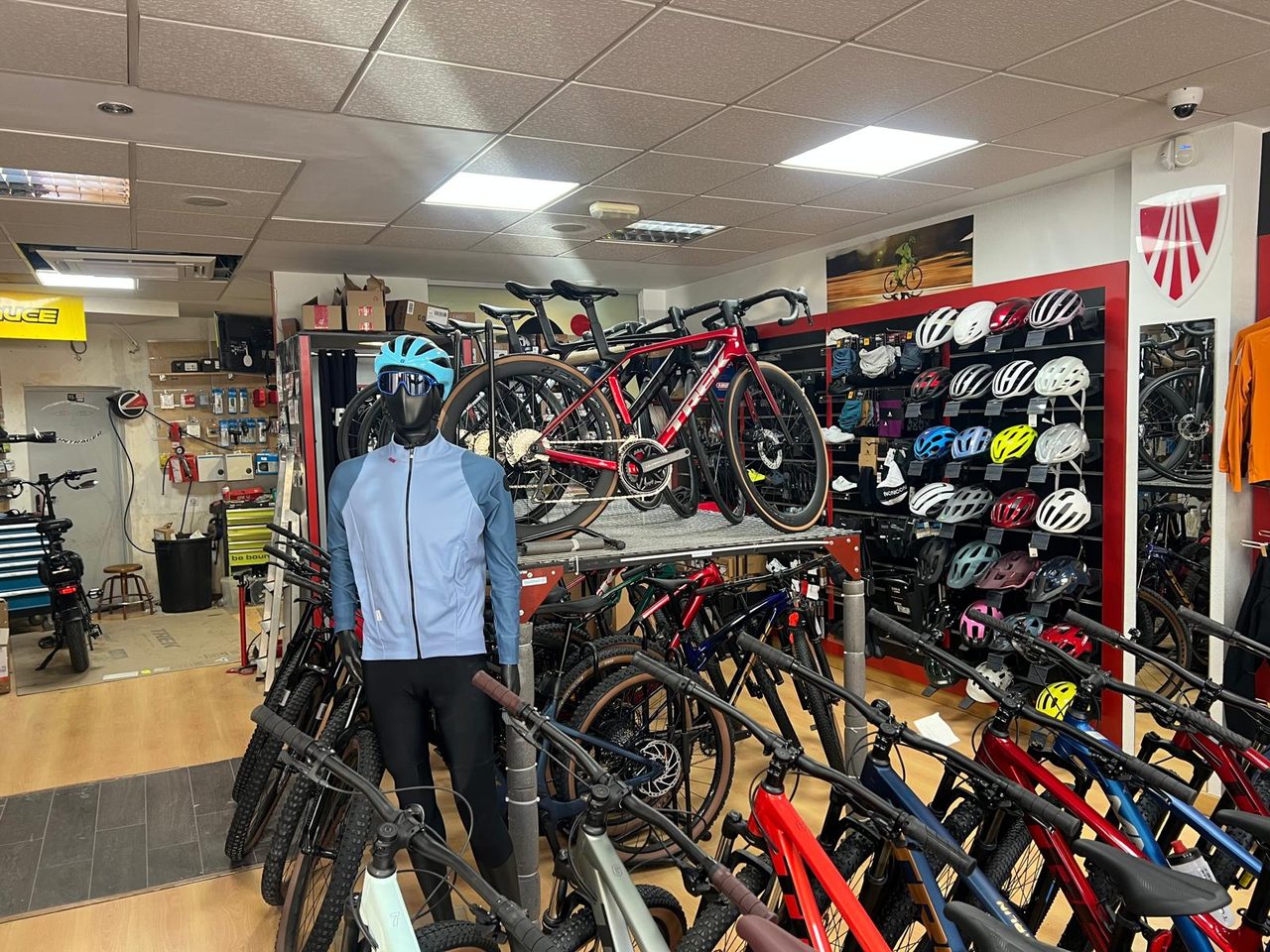 Exposición de bicicletas